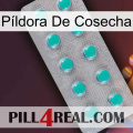 Píldora De Cosecha 28